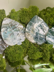 Druzy Moss Agate Monstera Carving Intuitive Pick