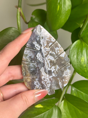 Druzy Moss Agate Monstera Carving Intuitive Pick