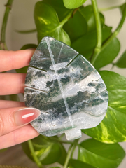 Druzy Moss Agate Monstera Carving Intuitive Pick