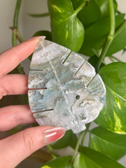 Druzy Moss Agate Monstera Carving Intuitive Pick