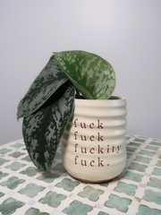 Fuckity Fuck Cup