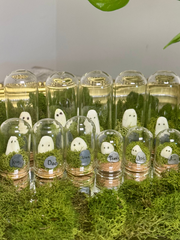 Pet Ghost Glow Rocks