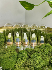 Pet Ghost Glow Rocks