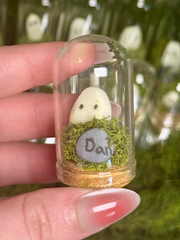 Pet Ghost Glow Rocks