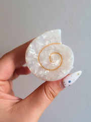 Swirly Shell Hair Clip