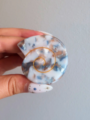 Swirly Shell Hair Clip