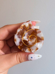 Swirly Shell Hair Clip