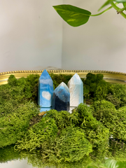 Trolleite Towers (Choose Your Vibe)